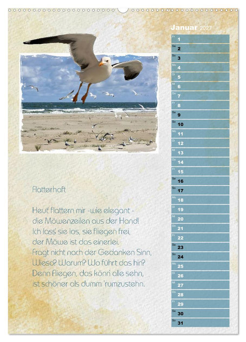 Wenn alle Möwen Emma hießen... (CALVENDO Wandkalender 2027)