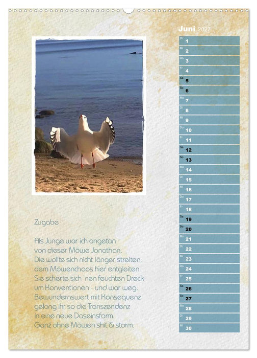 Wenn alle Möwen Emma hießen... (CALVENDO Premium Wandkalender 2027)