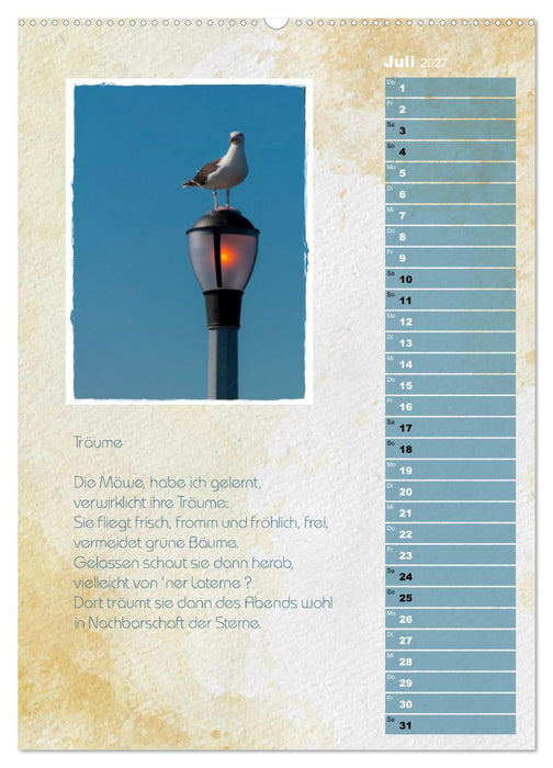 Wenn alle Möwen Emma hießen... (CALVENDO Premium Wandkalender 2027)