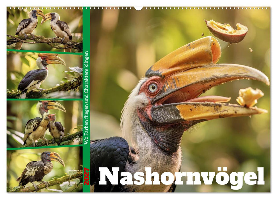 Nashornvögel (CALVENDO Wandkalender 2027)