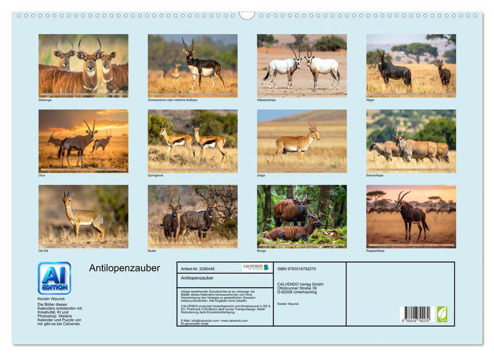 Antilopenzauber (CALVENDO Wandkalender 2027)