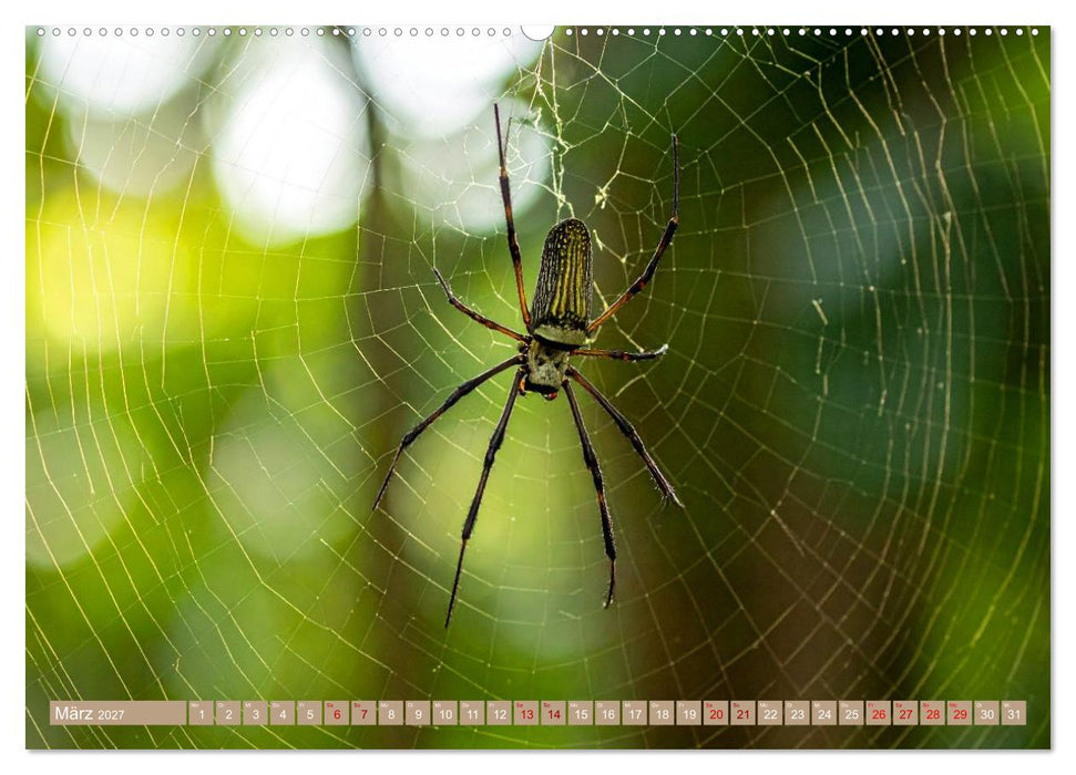 Gruseltiere (CALVENDO Wandkalender 2027)