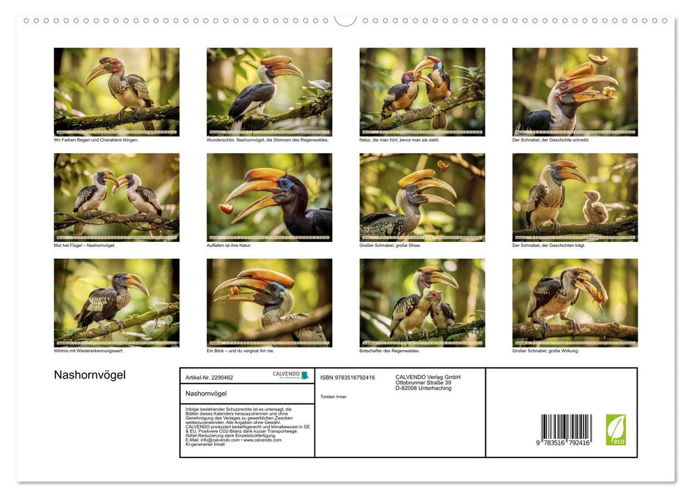 Nashornvögel (CALVENDO Premium Wandkalender 2027)