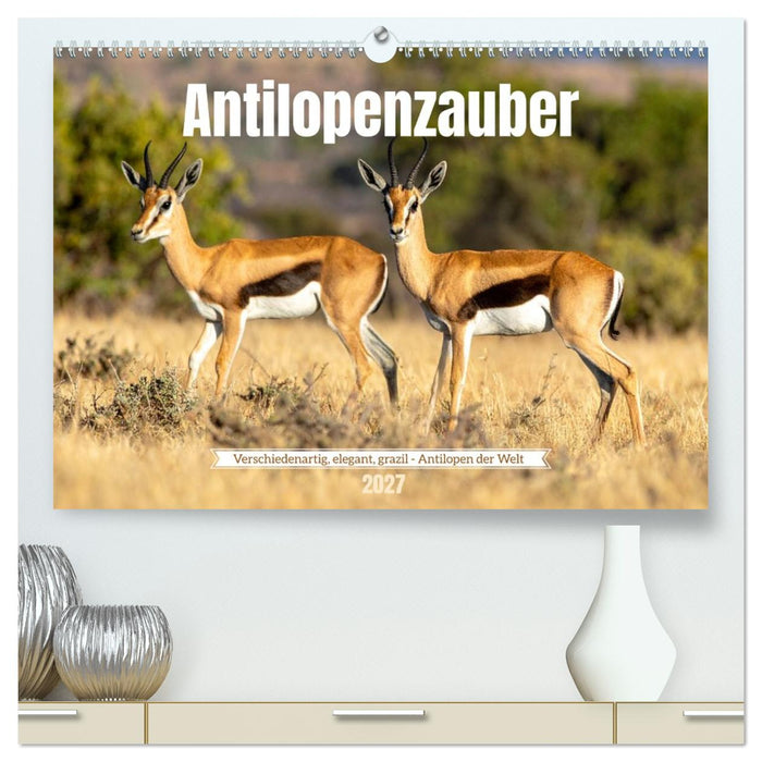 Antilopenzauber (CALVENDO Premium Wandkalender 2027)