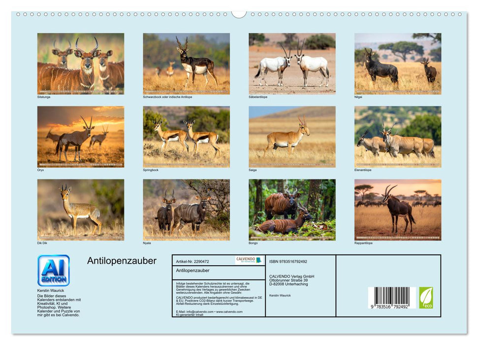Antilopenzauber (CALVENDO Premium Wandkalender 2027)