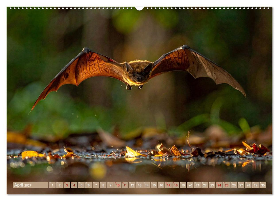 Gruseltiere (CALVENDO Premium Wandkalender 2027)