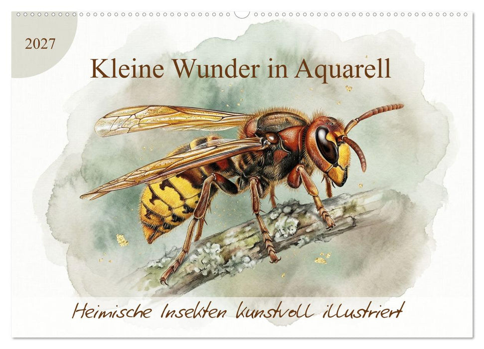 Kleine Wunder in Aquarell - Heimische Insekten kunstvoll illustriert (CALVENDO Wandkalender 2027)