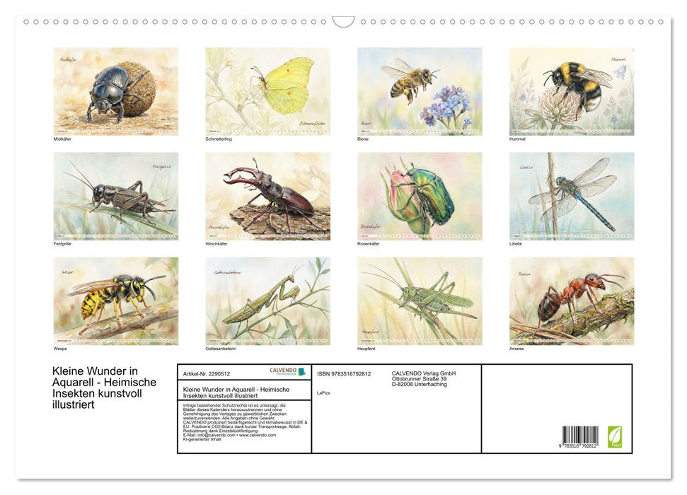 Kleine Wunder in Aquarell - Heimische Insekten kunstvoll illustriert (CALVENDO Wandkalender 2027)