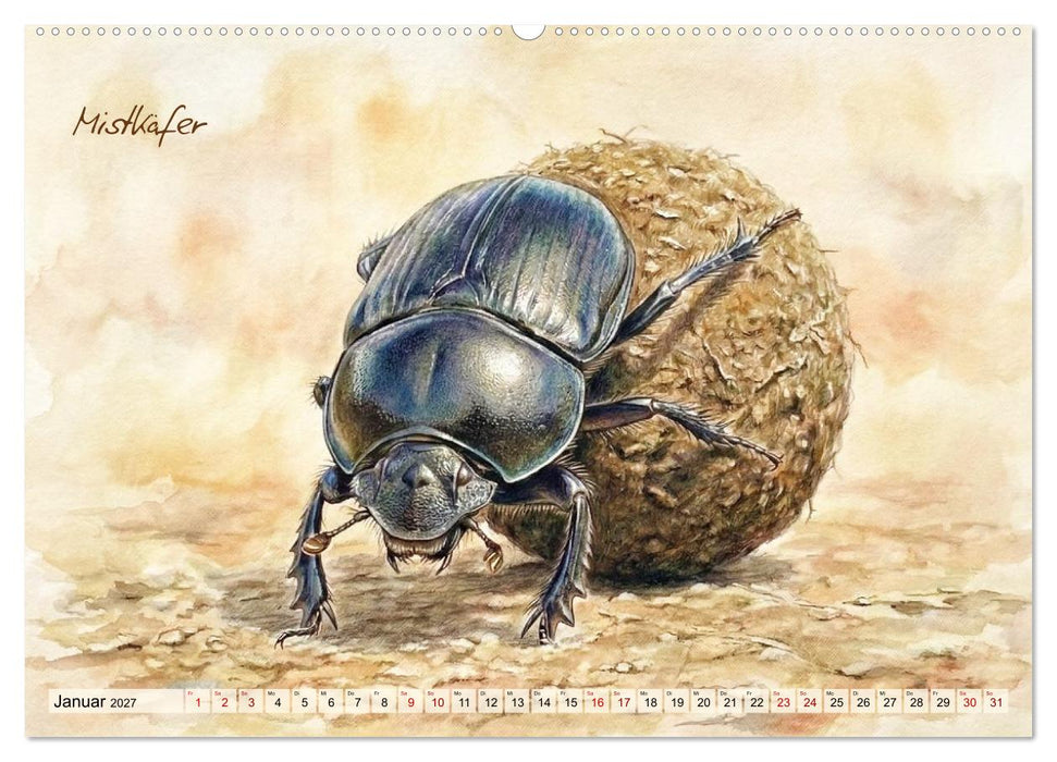 Kleine Wunder in Aquarell - Heimische Insekten kunstvoll illustriert (CALVENDO Wandkalender 2027)