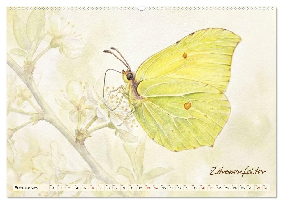 Kleine Wunder in Aquarell - Heimische Insekten kunstvoll illustriert (CALVENDO Wandkalender 2027)