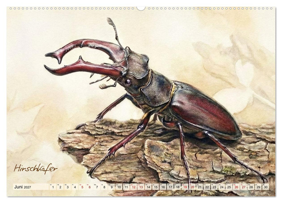 Kleine Wunder in Aquarell - Heimische Insekten kunstvoll illustriert (CALVENDO Wandkalender 2027)