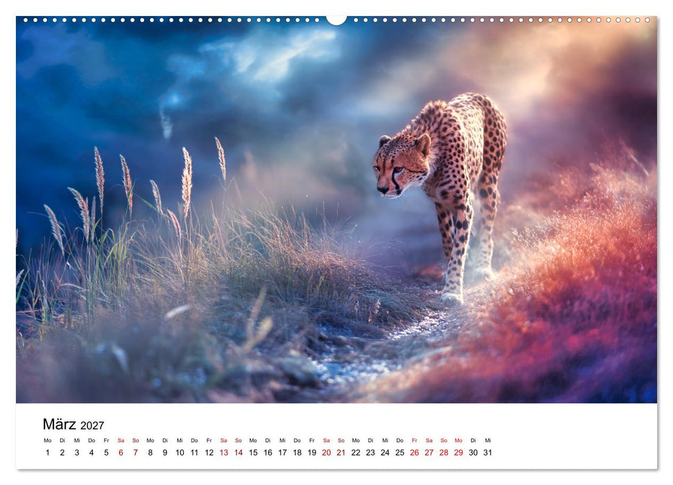 Eleganz und Instinkt - die beeindruckende Welt der Geparden (CALVENDO Premium Wandkalender 2027)
