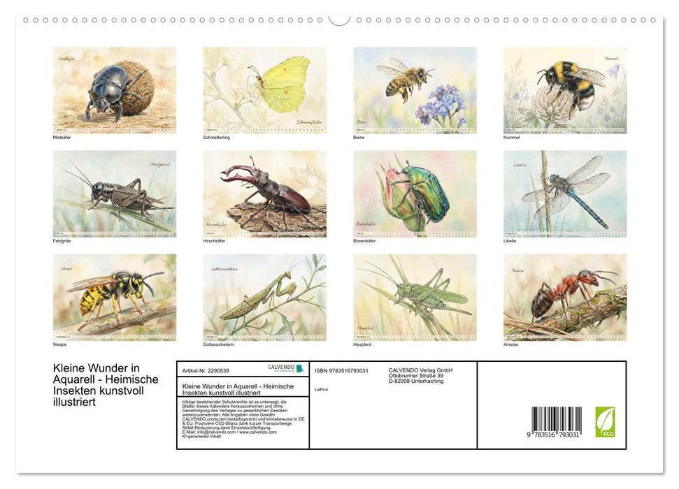 Kleine Wunder in Aquarell - Heimische Insekten kunstvoll illustriert (CALVENDO Premium Wandkalender 2027)