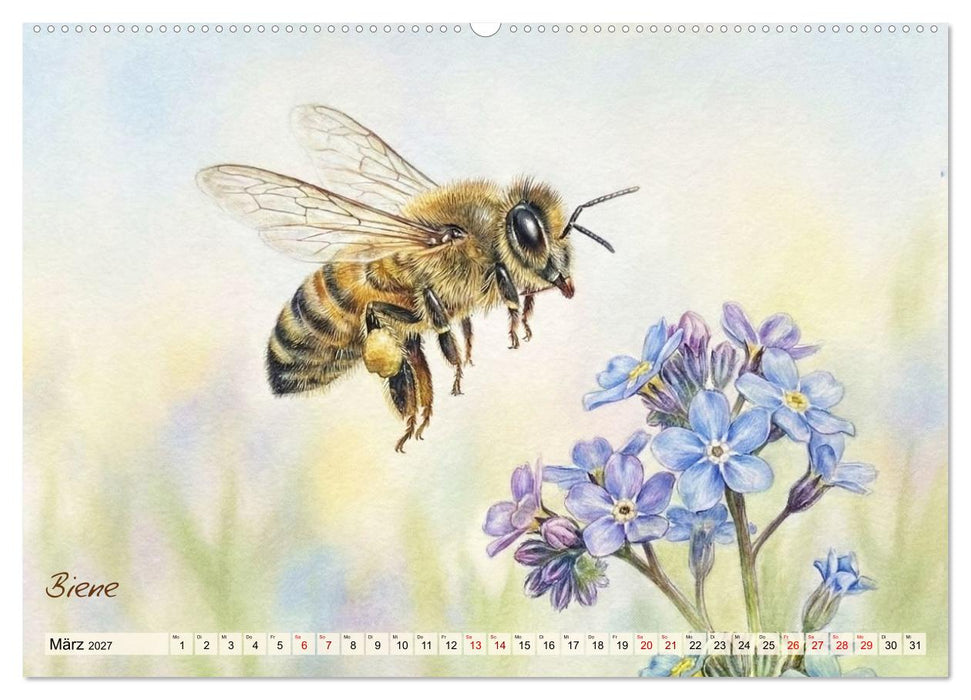 Kleine Wunder in Aquarell - Heimische Insekten kunstvoll illustriert (CALVENDO Premium Wandkalender 2027)