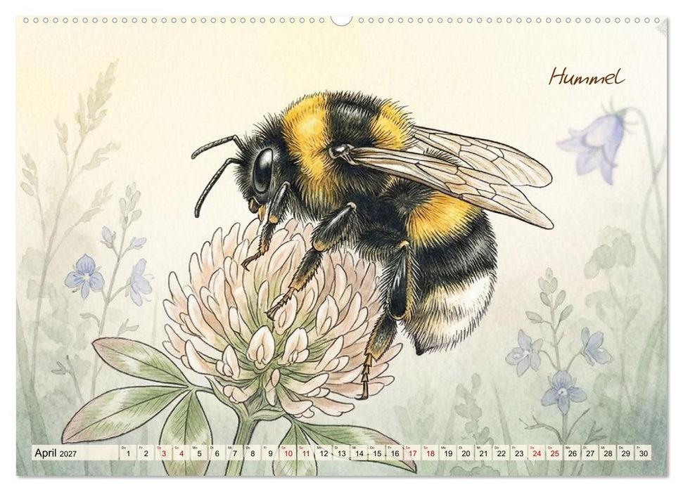 Kleine Wunder in Aquarell - Heimische Insekten kunstvoll illustriert (CALVENDO Premium Wandkalender 2027)