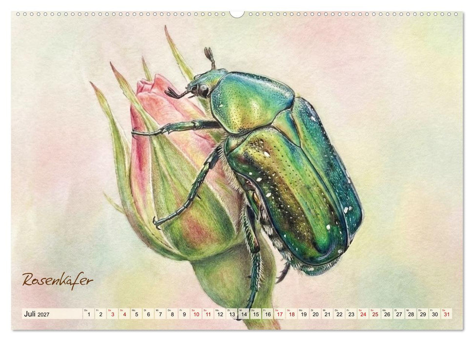 Kleine Wunder in Aquarell - Heimische Insekten kunstvoll illustriert (CALVENDO Premium Wandkalender 2027)