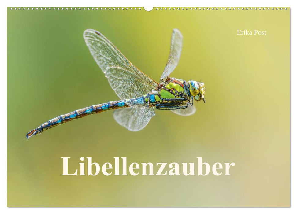 Libellenzauber (CALVENDO Wandkalender 2027)