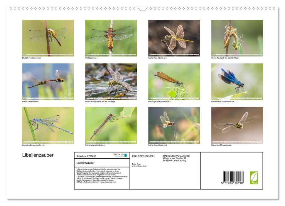 Libellenzauber (CALVENDO Premium Wandkalender 2027)