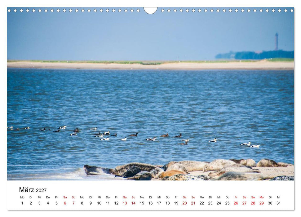 Reiseziele: Zwischen Nordsee und Alpen (CALVENDO Wandkalender 2027)