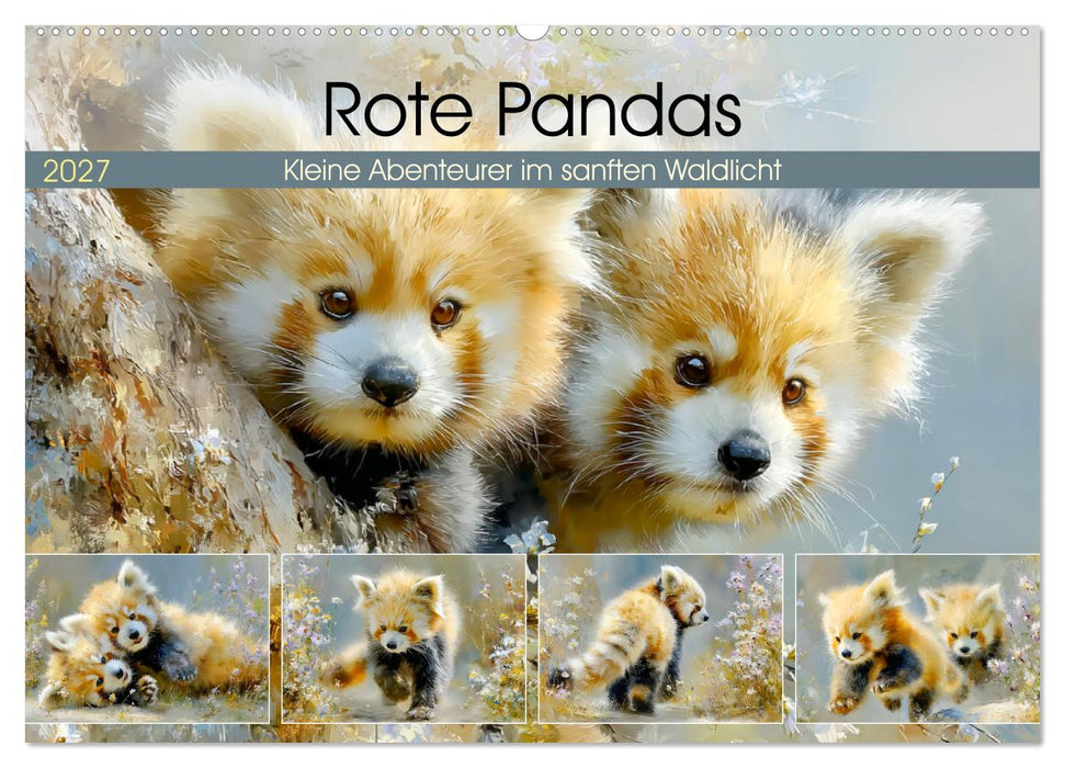 Rote Pandas. Kleine Abenteurer im sanften Waldlicht (CALVENDO Wandkalender 2027)