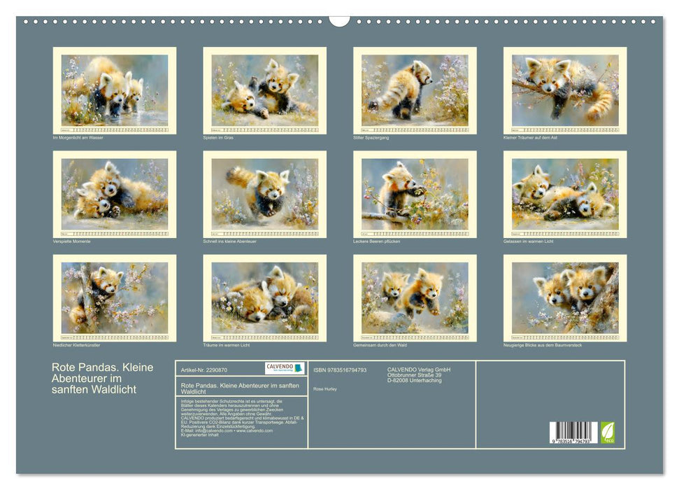 Rote Pandas. Kleine Abenteurer im sanften Waldlicht (CALVENDO Wandkalender 2027)