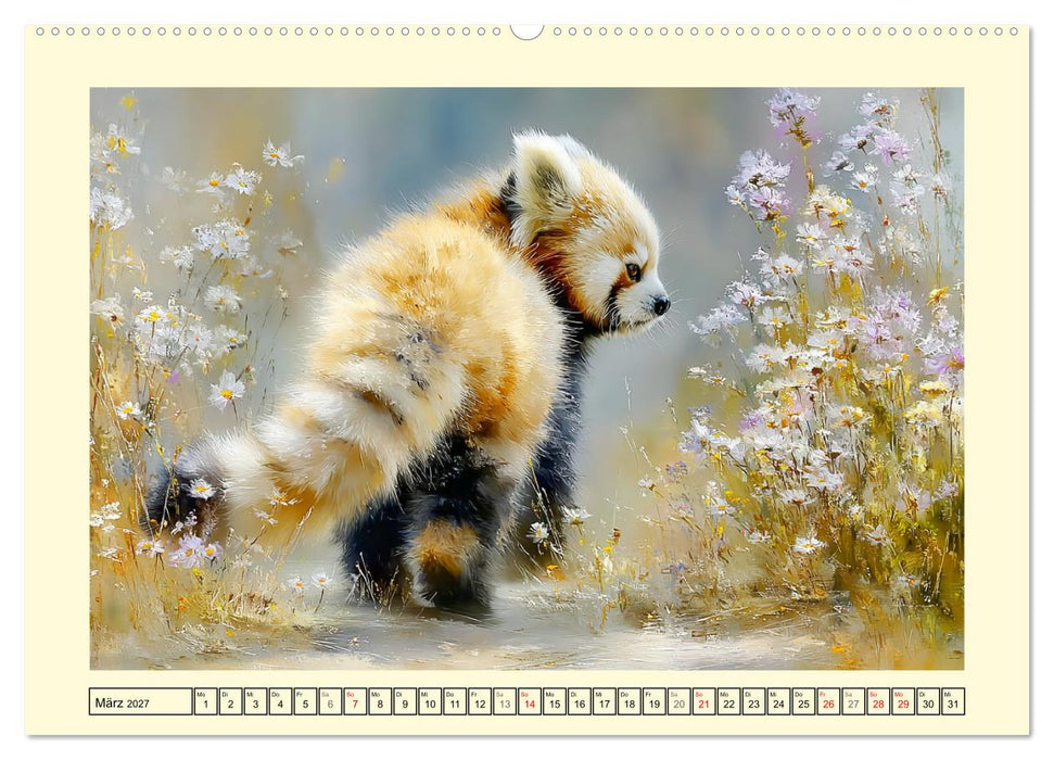 Rote Pandas. Kleine Abenteurer im sanften Waldlicht (CALVENDO Wandkalender 2027)