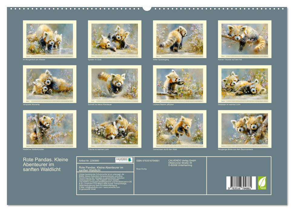 Rote Pandas. Kleine Abenteurer im sanften Waldlicht (CALVENDO Premium Wandkalender 2027)