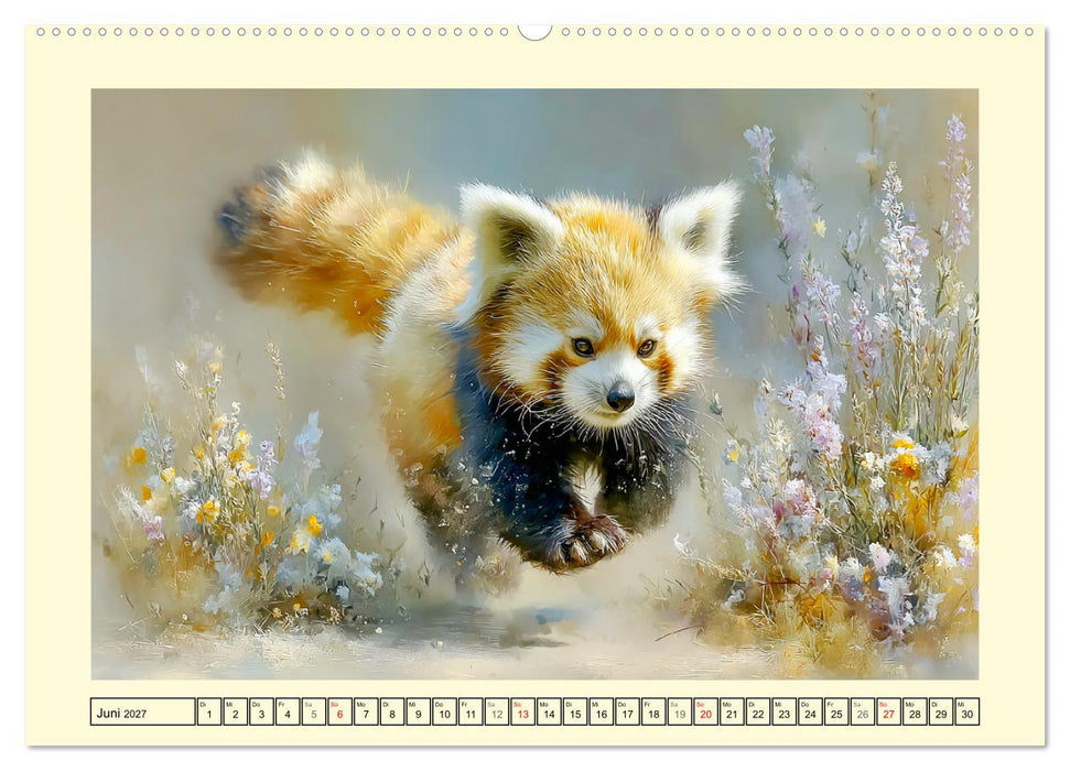 Rote Pandas. Kleine Abenteurer im sanften Waldlicht (CALVENDO Premium Wandkalender 2027)