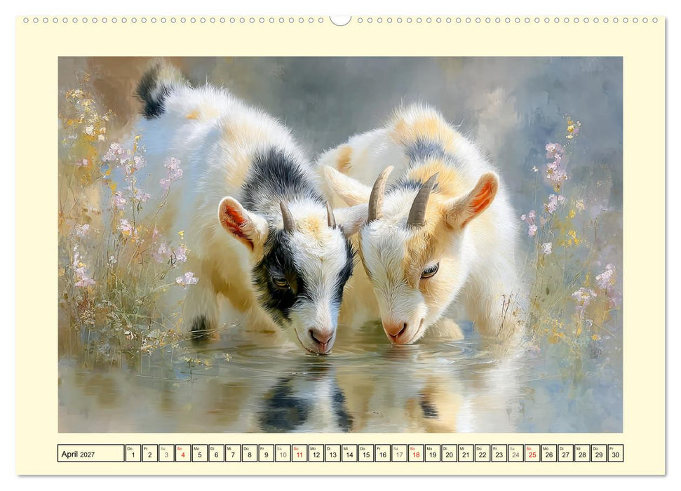 Zwergziegen. Kleine Wirbelwinde im Sonnenschein (CALVENDO Wandkalender 2027)