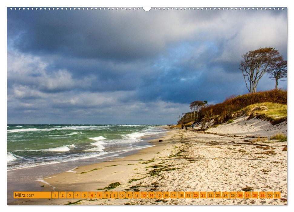 Wilder Darßer Weststrand (CALVENDO Wandkalender 2027)
