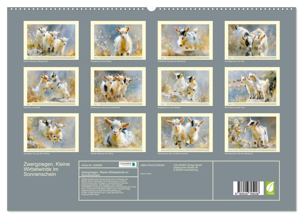 Zwergziegen. Kleine Wirbelwinde im Sonnenschein (CALVENDO Premium Wandkalender 2027)