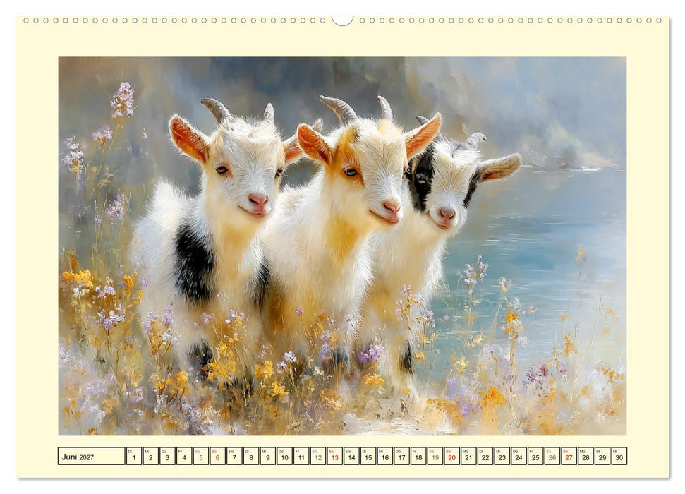 Zwergziegen. Kleine Wirbelwinde im Sonnenschein (CALVENDO Premium Wandkalender 2027)