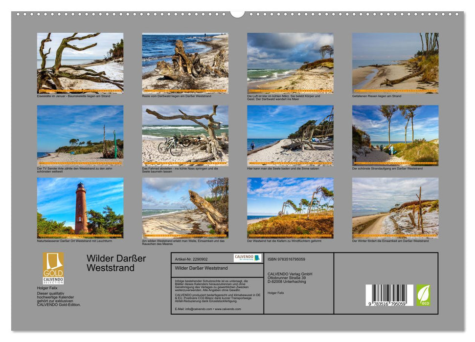 Wilder Darßer Weststrand (CALVENDO Premium Wandkalender 2027)