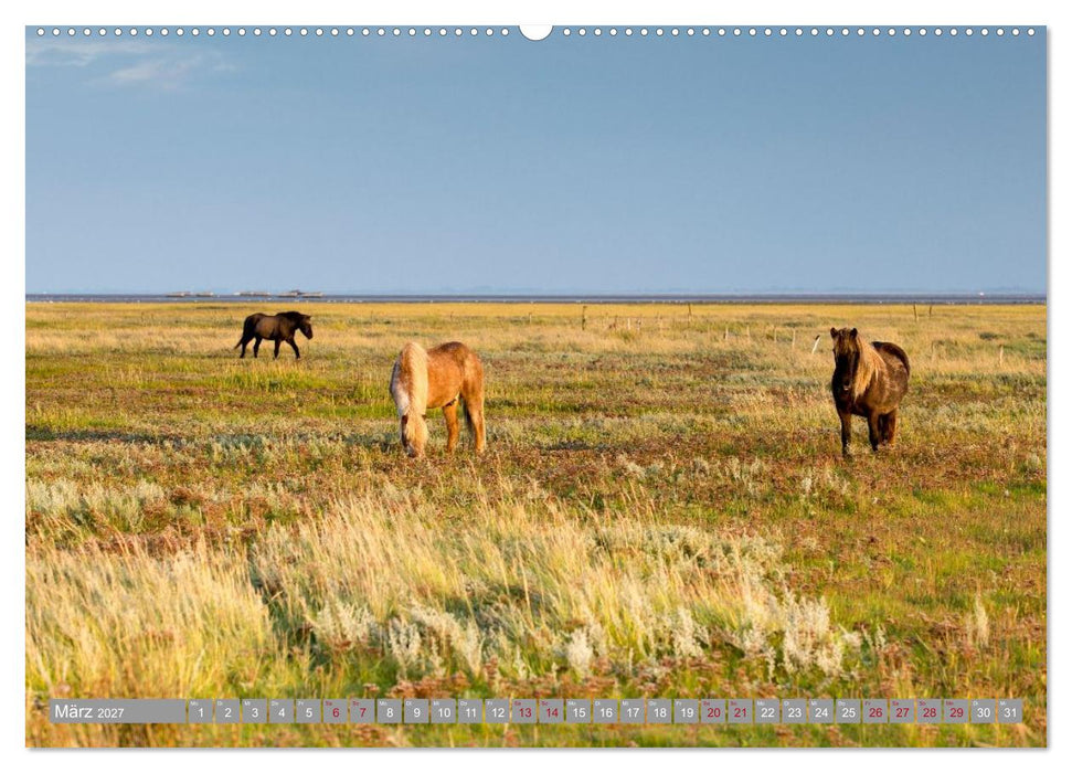 Ostfriesische Inseln (CALVENDO Wandkalender 2027)