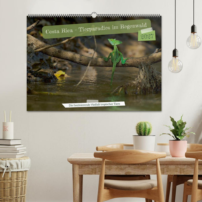 Costa Rica – Tierparadies im Regenwald (CALVENDO Wandkalender 2027)