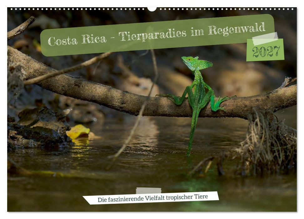 Costa Rica – Tierparadies im Regenwald (CALVENDO Wandkalender 2027)