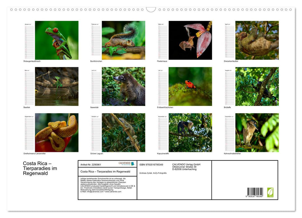 Costa Rica – Tierparadies im Regenwald (CALVENDO Wandkalender 2027)