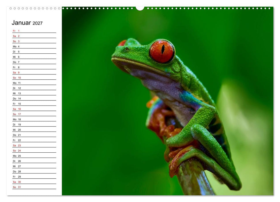 Costa Rica – Tierparadies im Regenwald (CALVENDO Wandkalender 2027)