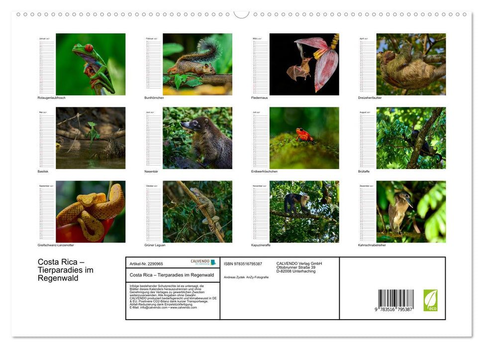 Costa Rica – Tierparadies im Regenwald (CALVENDO Premium Wandkalender 2027)