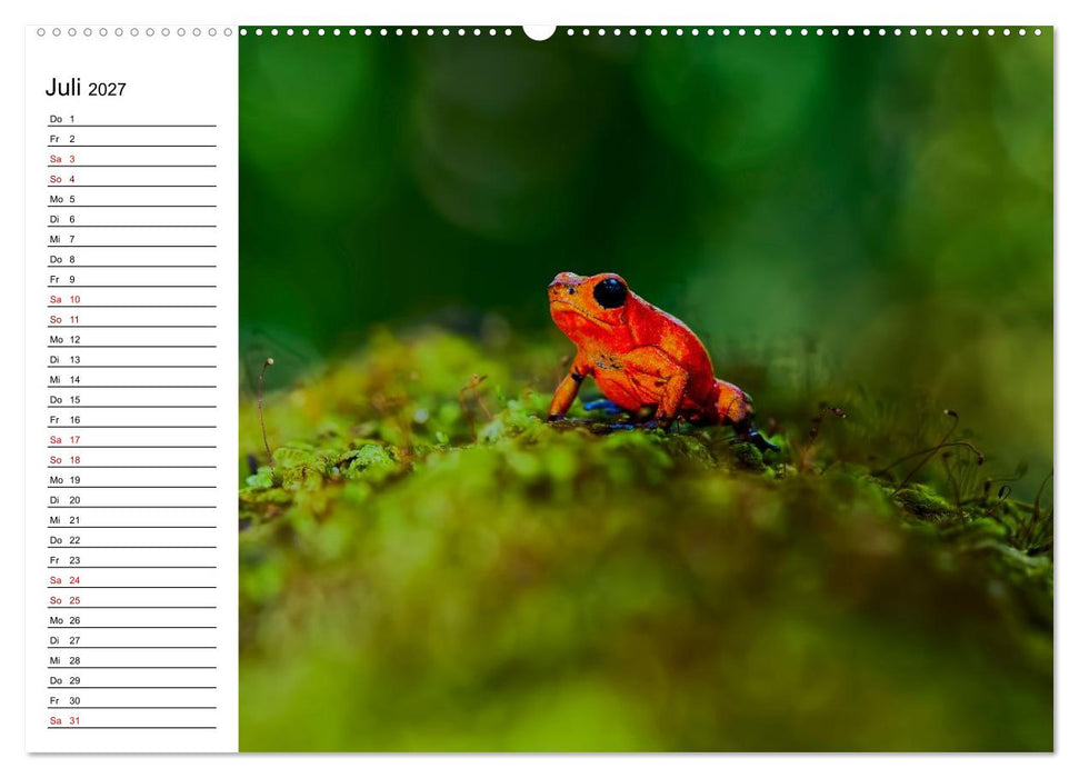 Costa Rica – Tierparadies im Regenwald (CALVENDO Premium Wandkalender 2027)