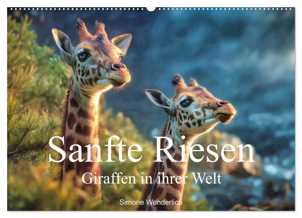 Sanfte Riesen - Giraffen in ihrer Welt (CALVENDO Wandkalender 2027)