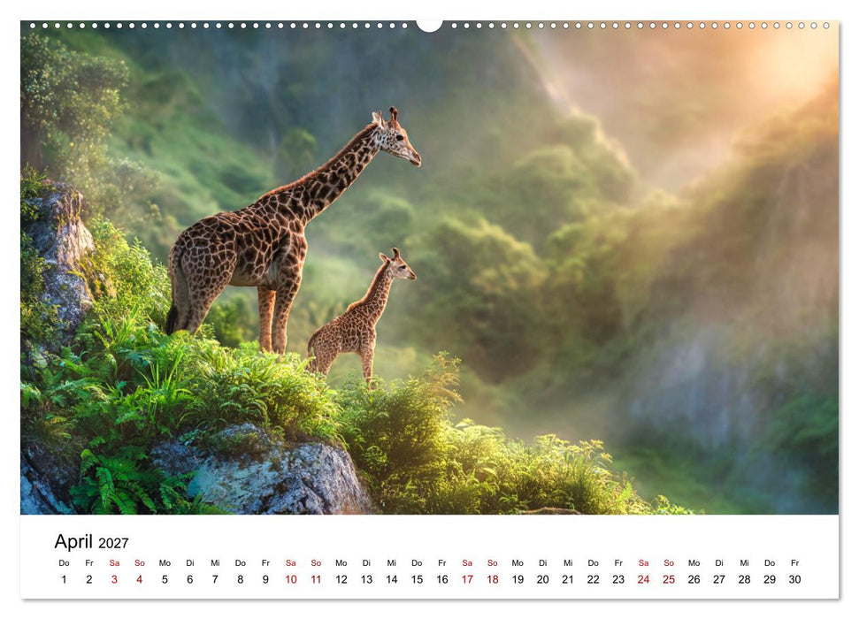 Sanfte Riesen - Giraffen in ihrer Welt (CALVENDO Wandkalender 2027)