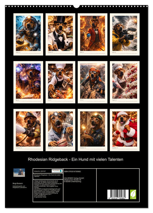 Rhodesian Ridgeback - Ein Hund mit vielen Talenten (CALVENDO Premium Wandkalender 2027)