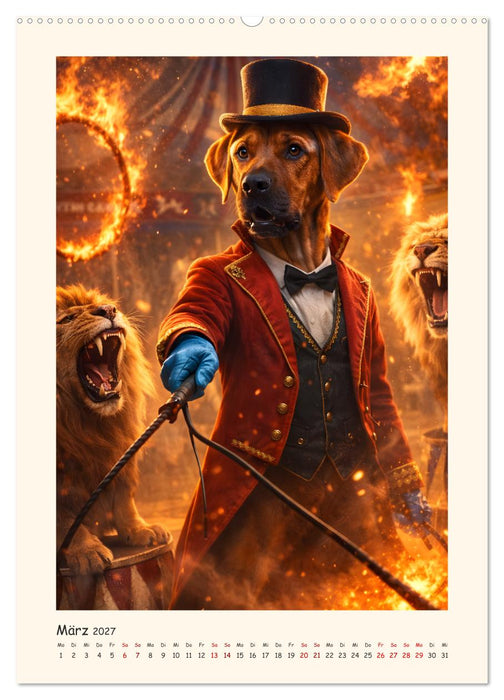 Rhodesian Ridgeback - Ein Hund mit vielen Talenten (CALVENDO Premium Wandkalender 2027)