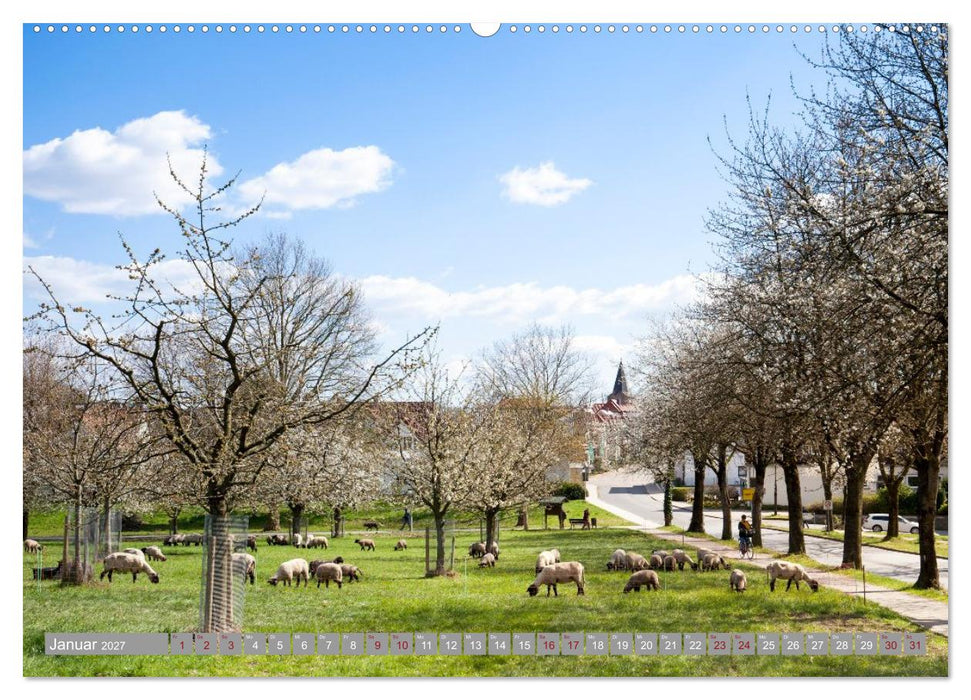 Radland Deutschland - Münsterland (CALVENDO Premium Wandkalender 2027)