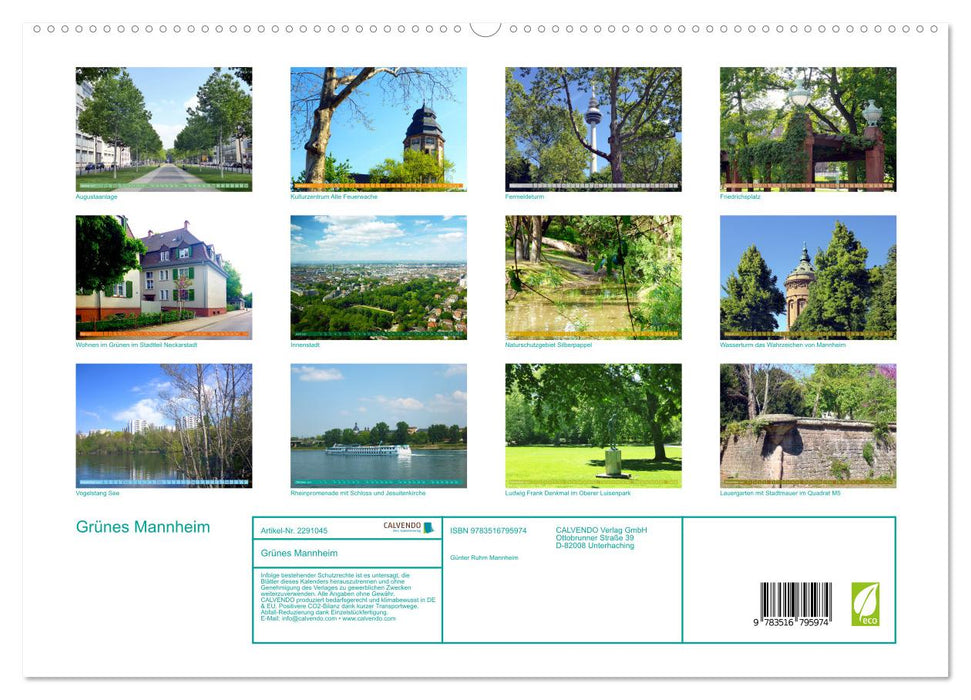 Grünes Mannheim (CALVENDO Premium Wandkalender 2027)