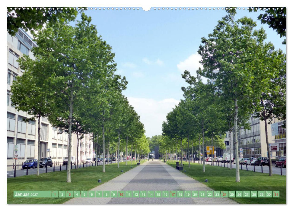 Grünes Mannheim (CALVENDO Premium Wandkalender 2027)