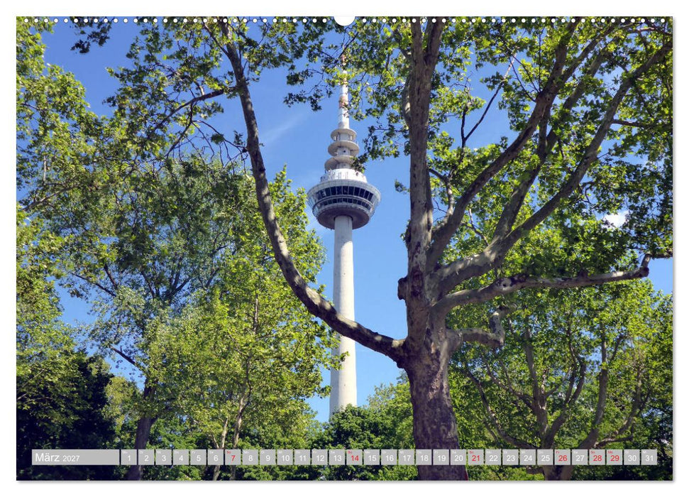 Grünes Mannheim (CALVENDO Premium Wandkalender 2027)