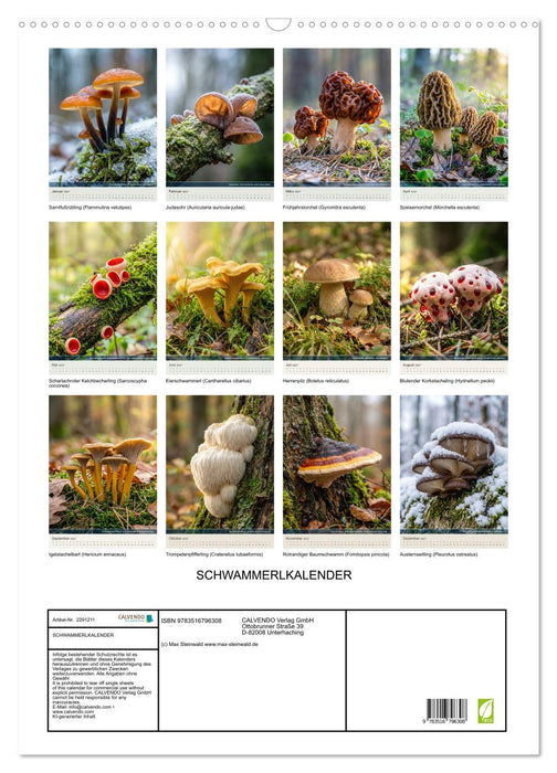 SCHWAMMERLKALENDER (CALVENDO Wandkalender 2027)
