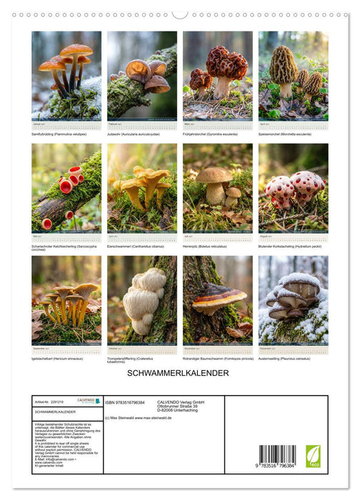 SCHWAMMERLKALENDER (CALVENDO Premium Wandkalender 2027)